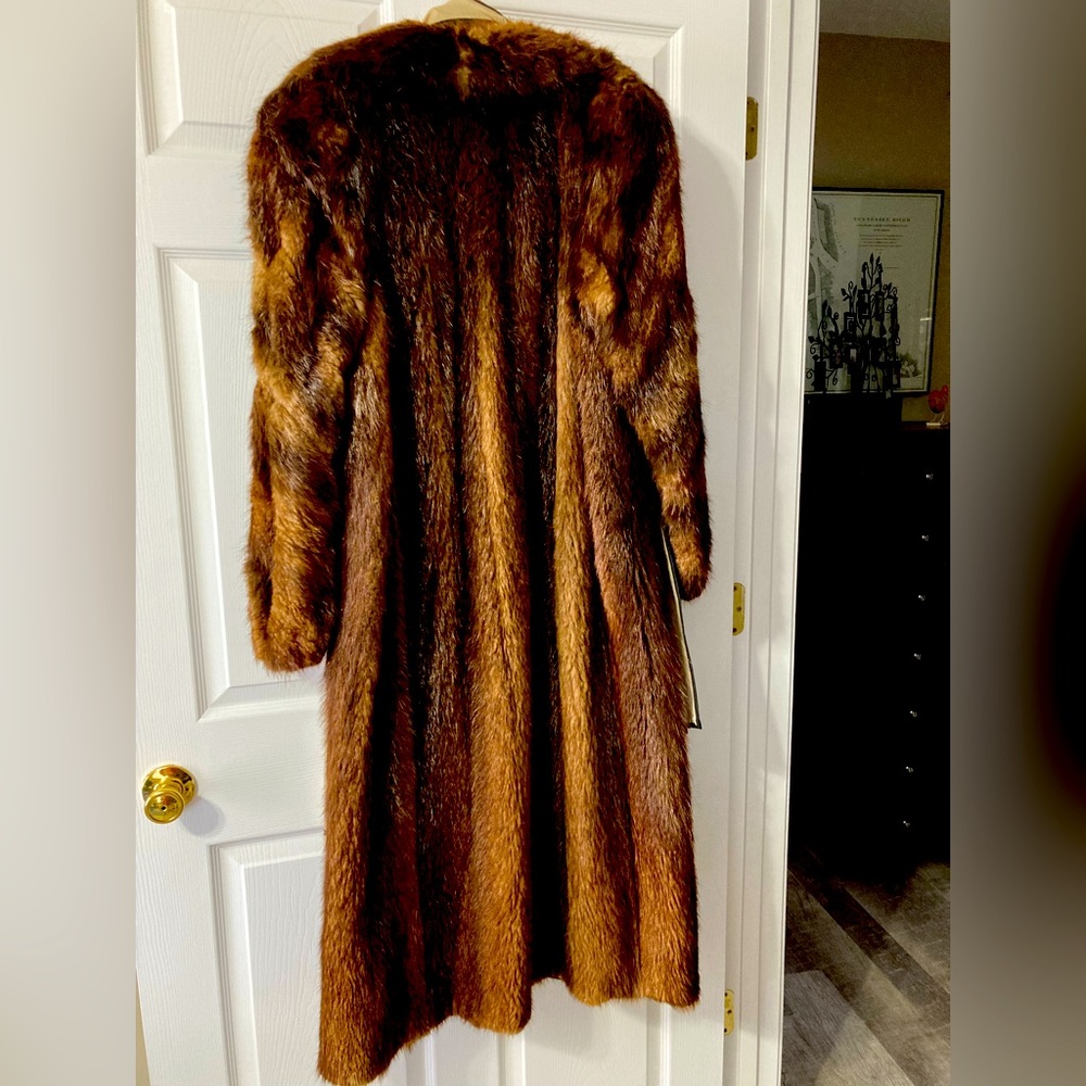 Beautiful Beaver full length luxury